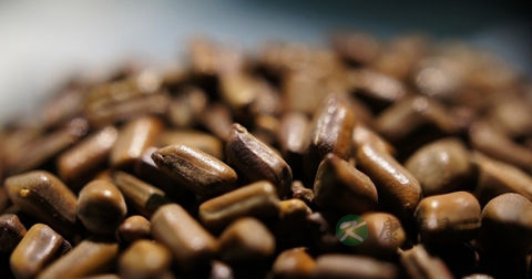 决明子可以泡茶喝吗 决明子可以泡茶喝吗