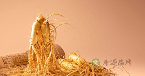 怎样辨别真人参 怎样辨别真人参