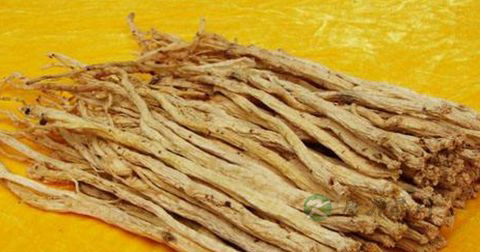 当归和党参的区别 当归和党参的区别