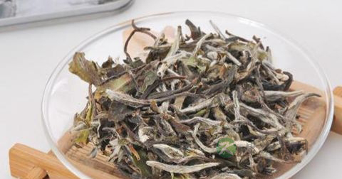 早上喝白茶好吗 早上喝白茶好吗