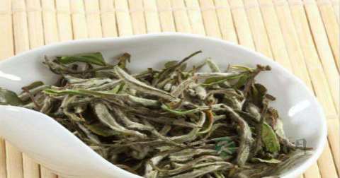 煮了的白茶能过夜喝吗 煮了的白茶能过夜喝吗