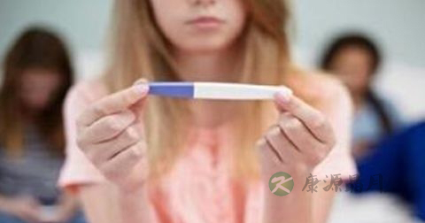 排卵期能吃当归吗 排卵期能吃当归吗