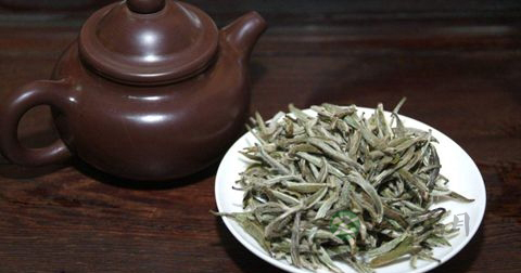 早上喝白茶好吗 早上喝白茶好吗