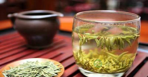 煮了的白茶能过夜喝吗 煮了的白茶能过夜喝吗