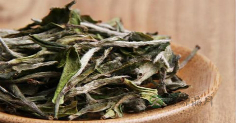 煮了的白茶能过夜喝吗 煮了的白茶能过夜喝吗
