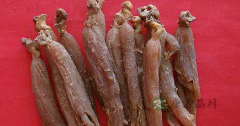 红参怎么泡水 红参怎么泡水