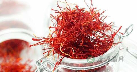 藏红花能和菊花一起泡吗 藏红花能和菊花一起泡吗
