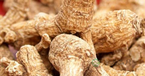 肾阳虚可以吃西洋参吗 肾阳虚可以吃西洋参吗