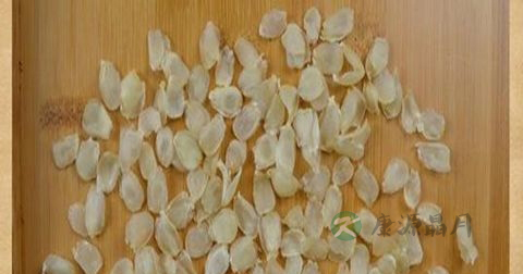 什么样的皂角米好 什么样的皂角米好
