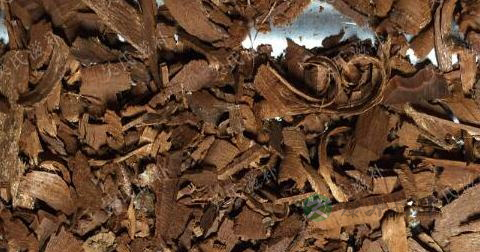 卡宾达树皮有什么作用 卡宾达树皮有什么作用