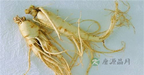 人参有什么功效和作用