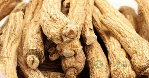 肾阳虚可以吃西洋参吗 肾阳虚可以吃西洋参吗