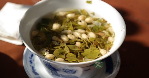 绿茶适合什么体质人喝