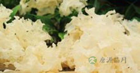 黄木耳是银耳吗 黄木耳是银耳吗
