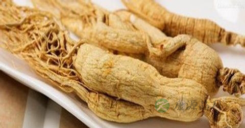 肾虚可以吃人参吗 肾虚可以吃人参吗