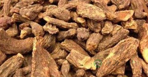 肉苁蓉怎么处理 肉苁蓉怎么处理