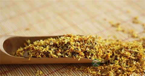 怎样用桂花泡茶 怎样用桂花泡茶