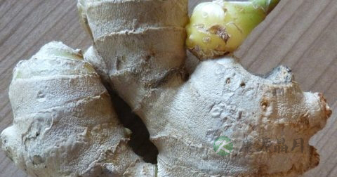 络腮胡怎么办