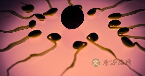 精子能美容吗
