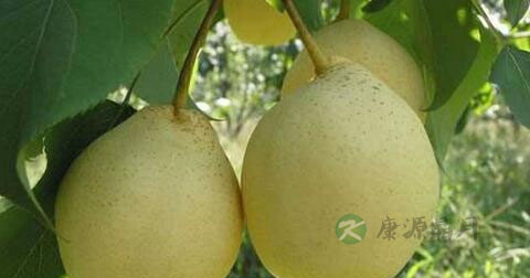 子宫腺肌瘤能治好吗 子宫腺肌瘤能治好吗