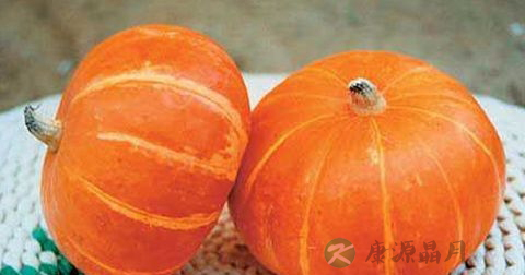 来月经可以吃黄帝菜吗 来月经可以吃黄帝菜吗