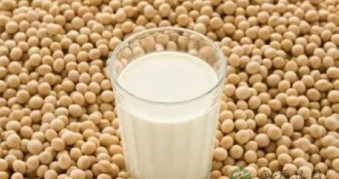 孕妇可以吃乳鸽炖汤吗 孕妇可以吃乳鸽炖汤吗