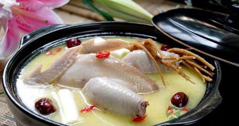 怀孕可以吃黄芪炖鸡吗 怀孕可以吃黄芪炖鸡吗