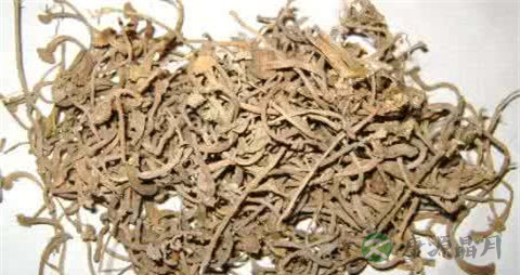 瓜蒂治疗慢性肝炎吗