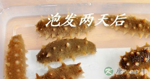 老人吃海参有什么好处吗 老人吃海参有什么好处吗