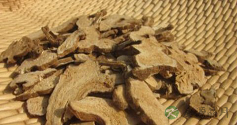 老人尿失禁吃什么药好 老人尿失禁吃什么药好