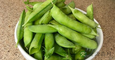 九个月宝宝营养食谱 九个月宝宝营养食谱