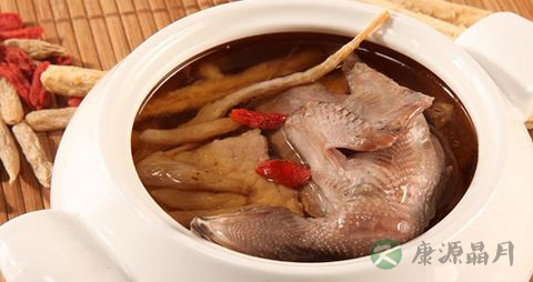 慢性肝炎可以吃鸽子吗