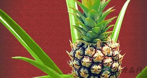 踢足球射门技巧有哪些 踢足球射门技巧有哪些
