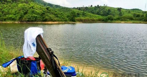夏天在水库怎么钓鱼 夏天在水库怎么钓鱼