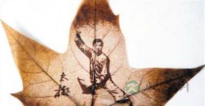 杨式太极拳85式 杨式太极拳85式