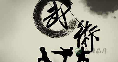 学习武术的心得体会 学习武术的心得体会