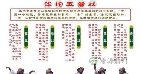五禽戏的动作分解及动作要领 五禽戏的动作分解及动作要领