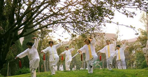 武当13式太极拳 武当13式太极拳
