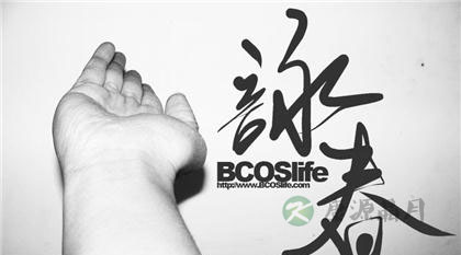 咏春拳实战技巧 咏春拳实战技巧
