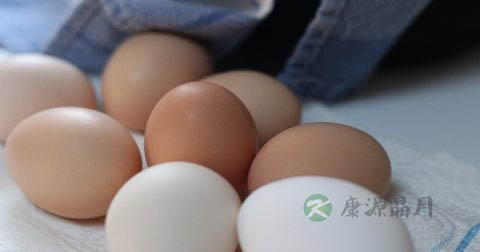 蜂蜜减肥食谱 蜂蜜减肥食谱