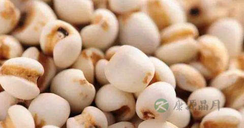 经常吃薏仁可以减肥吗 经常吃薏仁可以减肥吗