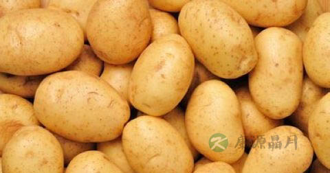 减肥吃主食吗 减肥吃主食吗