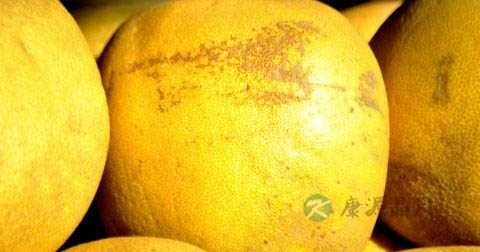 连续吃几天苹果主食可以减肥吗 连续吃几天苹果主食可以减肥吗