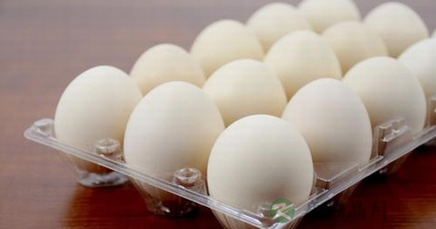 减肥怎么吃饭 减肥怎么吃饭