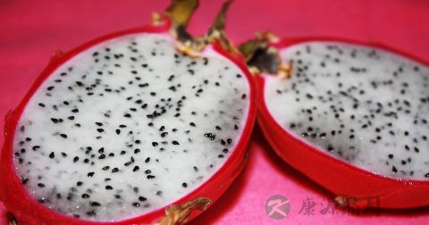 多吃火龙果可以减肥吗