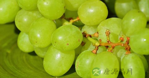 晚上吃小番茄可以减肥吗 晚上吃小番茄可以减肥吗
