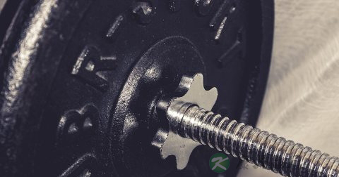 上肢的伸肌有哪些 上肢的伸肌有哪些