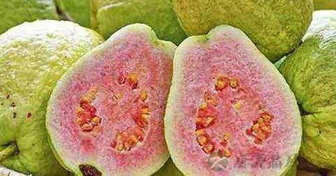 芭乐可以减肥吗 芭乐可以减肥吗