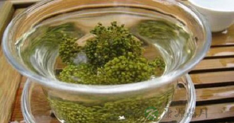 三七茶可以减肥吗 三七茶可以减肥吗