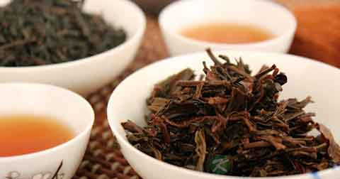 吃茶多酚可以减肥吗 吃茶多酚可以减肥吗